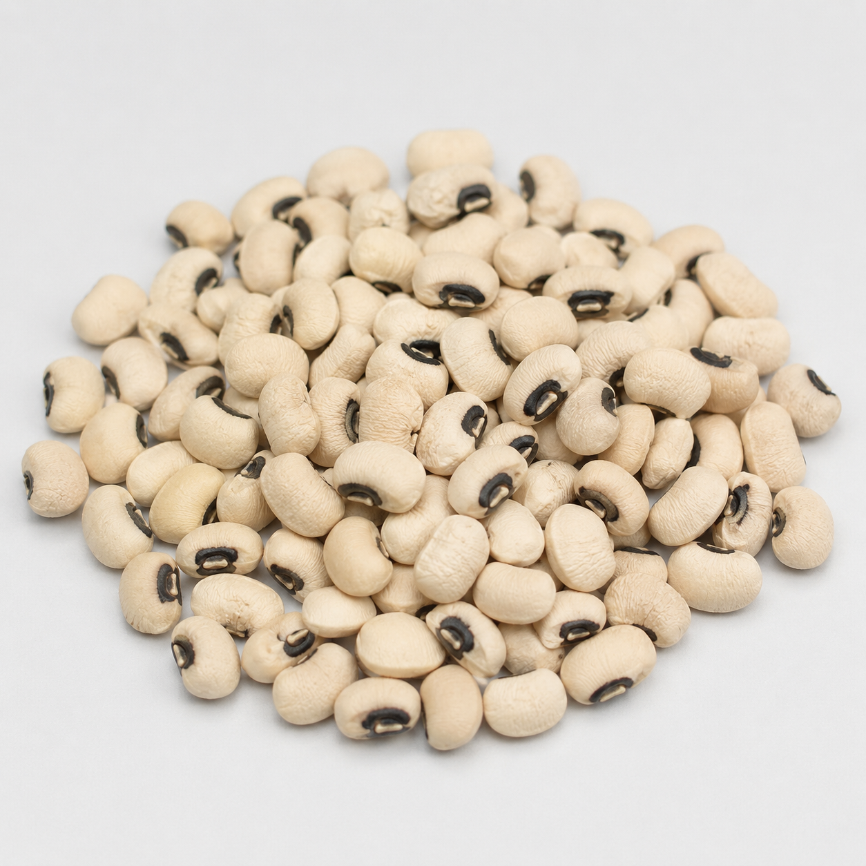 African Yam Bean