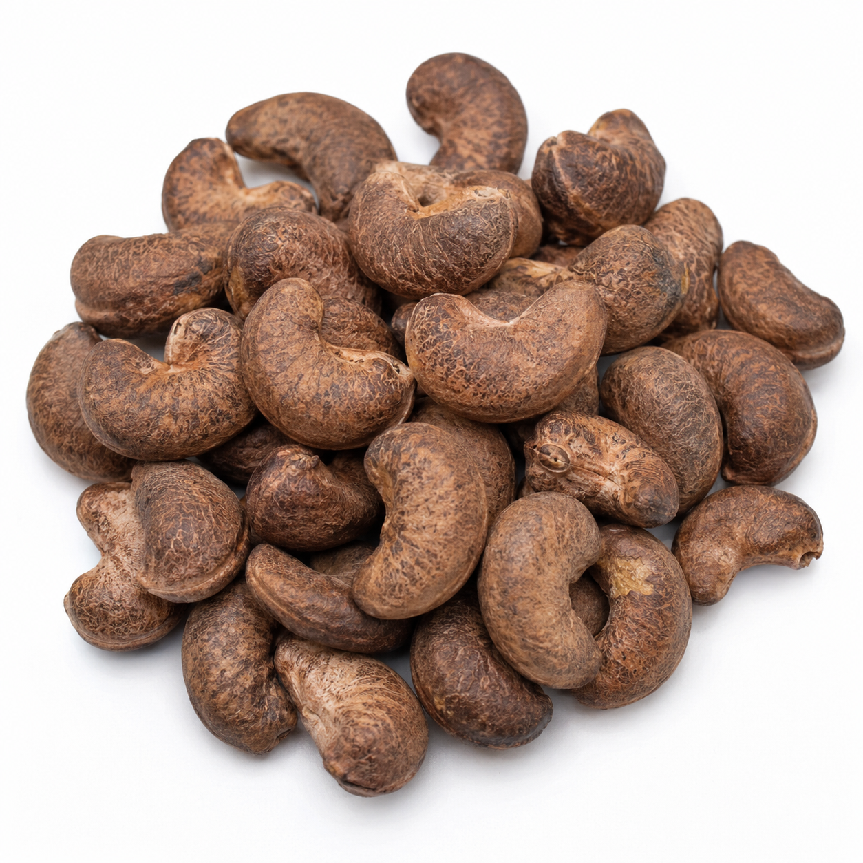 Cashew Testa