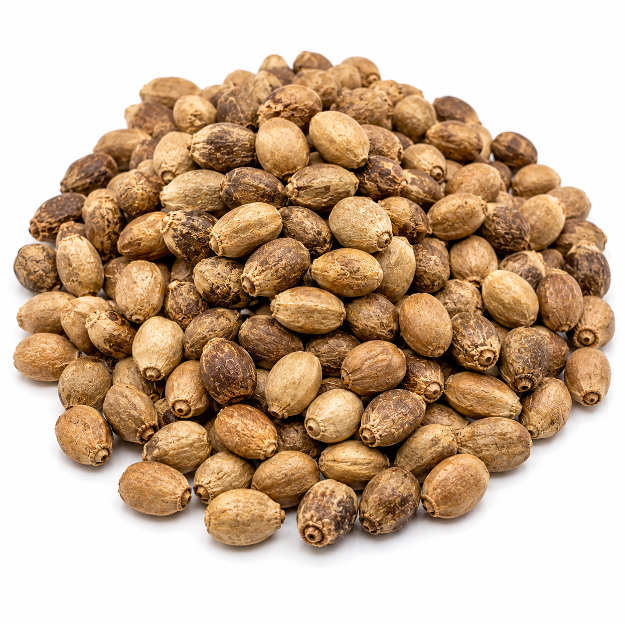 Neem Seed & Oil