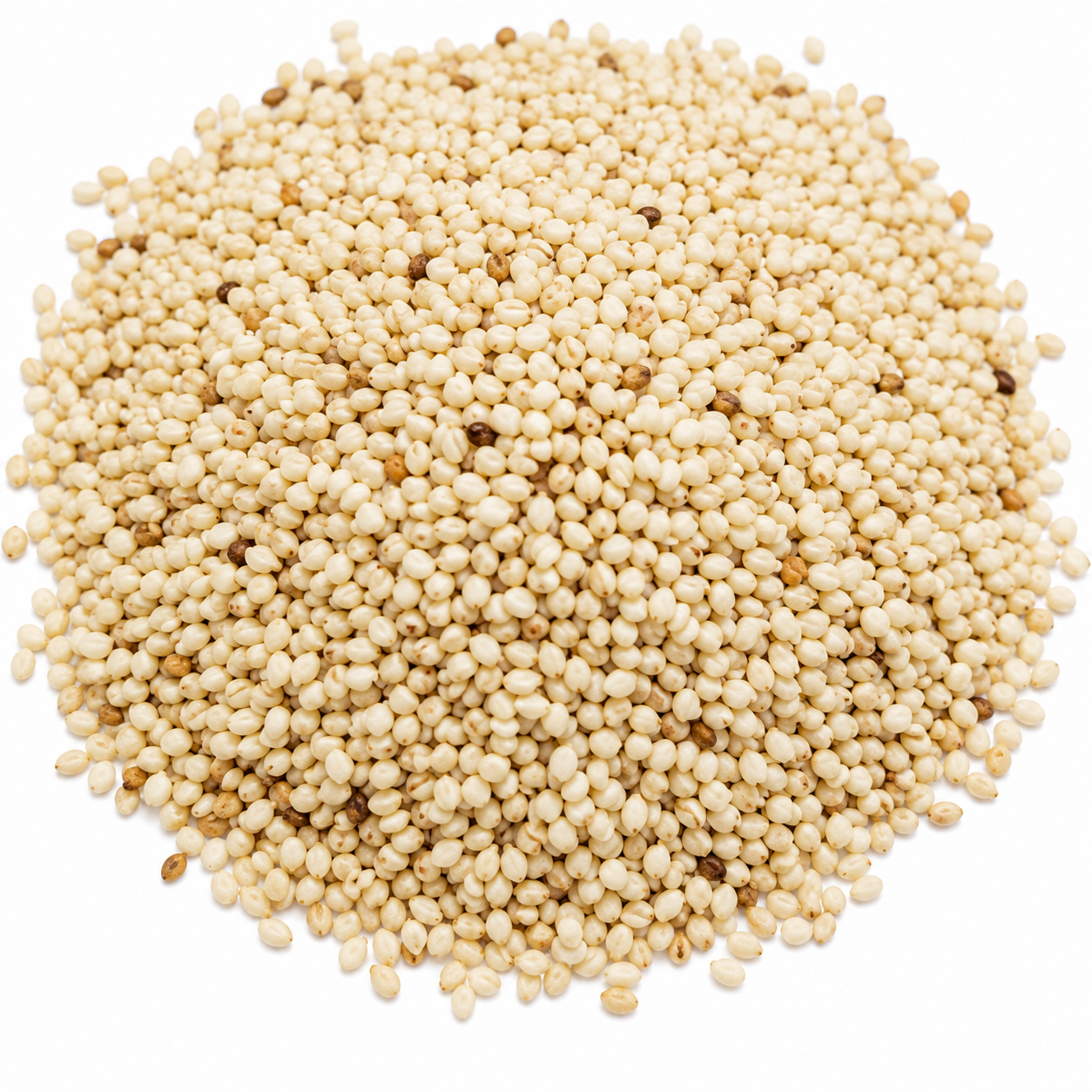 Sesame Seeds